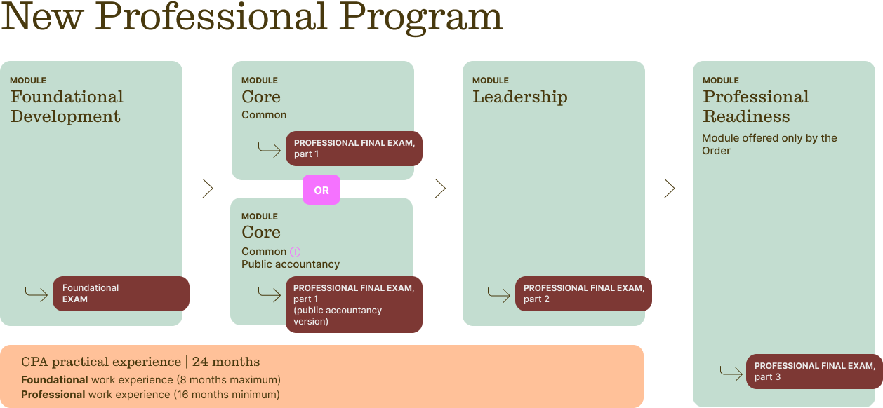 Nouveau Programme Professionnel