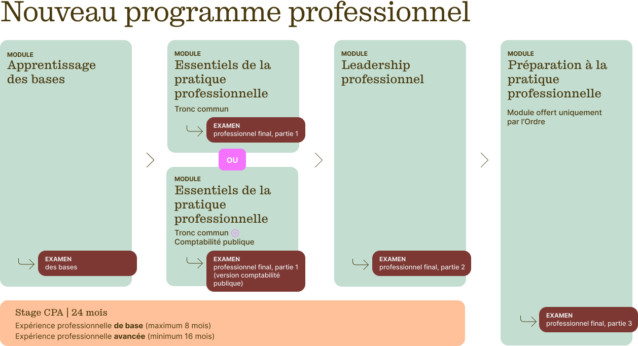 Nouveau programme professionnel
