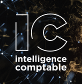 Intelligence comptable